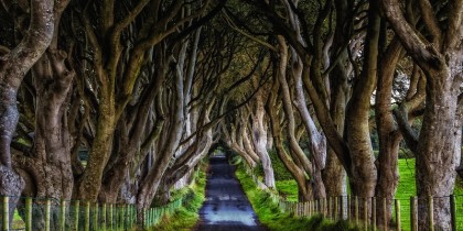 Dark Hedges Ierland, Kingsroad, filmlocatie Game of Thrones