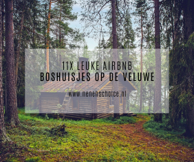 11x leuke Airbnb boshuisjes op de Veluwe