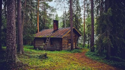 11x leukste Airbnb boshuisjes op de Veluwe