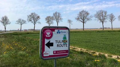 Tulpenfestival Noordoostpolder Flevoland