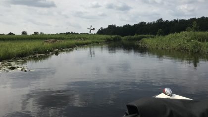 Micro-avonturen in Nederland: bootje varen Belterwijde bij Belt-Schutsloot