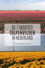 De 7 mooiste tulpenvelden in Nederland