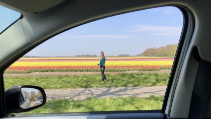 Tulpenroute auto Noordoostpolder Flevoland