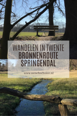 Wandelen in Twente: Bronnenroute Springendal