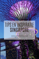 Tips en inspiratie Singapore