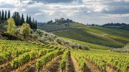Mooiste wijnroutes in Europa, Chianti Radda in Chianti Toscane