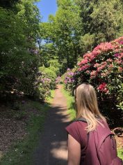 Bloeiende rododendrons in Nederland - Landgoed Gooilust Irene