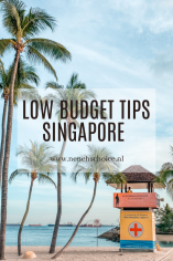 budget tips Singapore