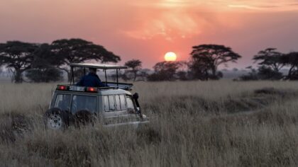 Safari in Afrika sunrise in Serengeti Tanzania