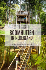 De tofste boomhutten in Nederland