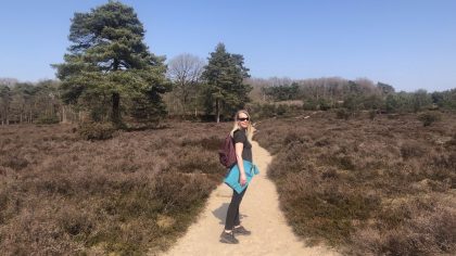Wandelen in Nationaal Park Dwingelderveld gele wandelroute Witteveen irene