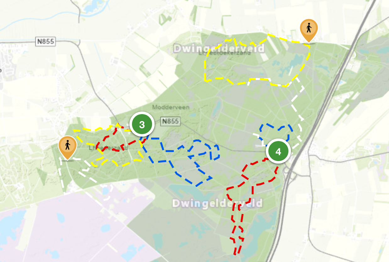 Wandelen in Nationaal Park Dwingelderveld: 2 wandelroutes