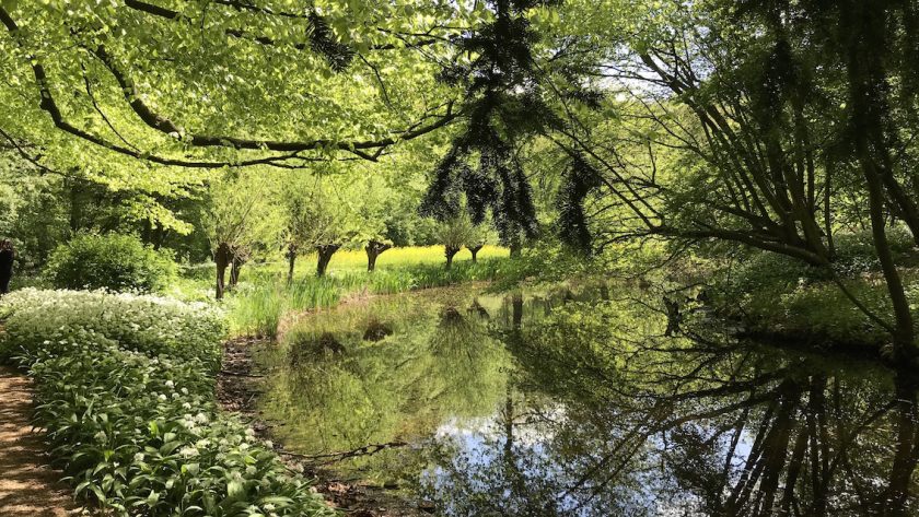 7 wandelroutes in het Amsterdamse Bos
