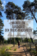 Wandelen Landgoed Den Treek-Henschoten