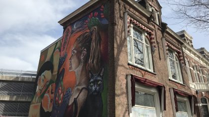 Assen Drenthe binnenstad muurschildering