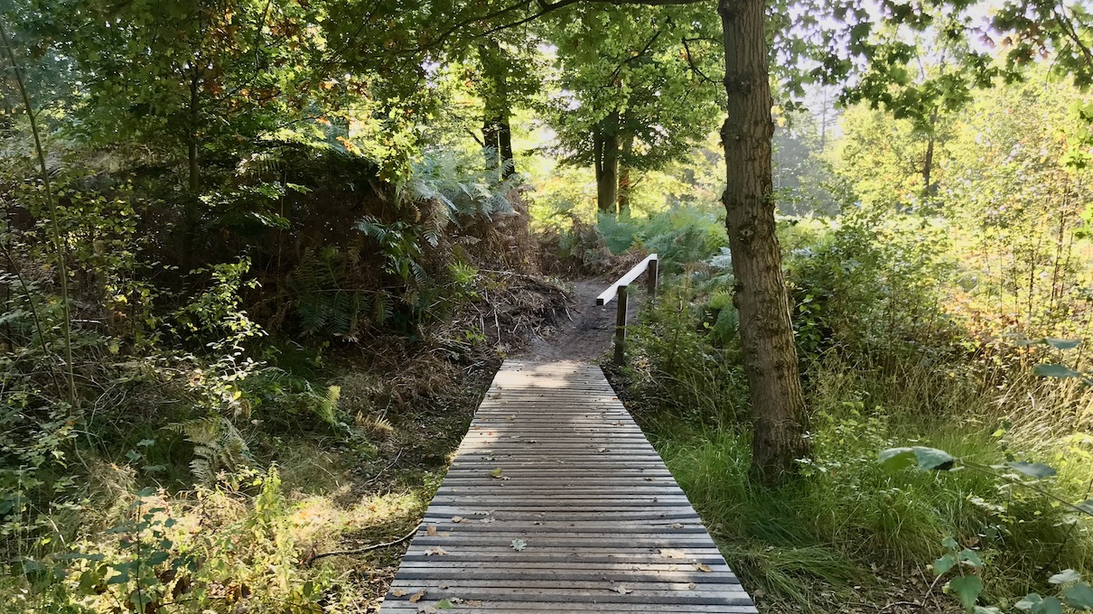 Buiten In De Kuil Wandelen